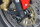 GSG Vorderrad Achspad Kit für Triumph Daytona 675 06-16